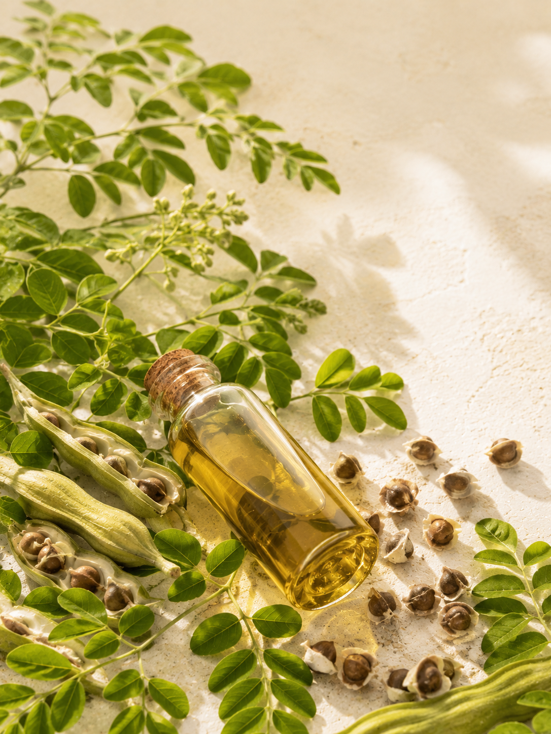 Moringa Seed Oil